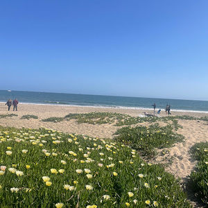 Meet your Posher, Evan